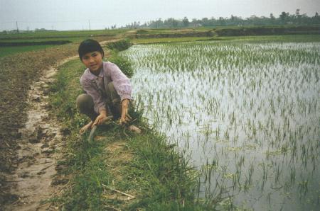 w18_2.JPG (30494 bytes)