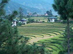 Butan%252520171009%252520001%252520%252528101%252529