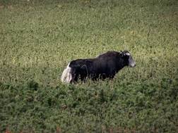 Butan%252520181009%252520%25252822%252529