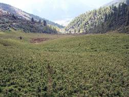 Butan%252520181009%252520%25252823%252529