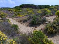 Descripcin: Descripcin: Descripcin: Descripcin: Descripcin: Descripcin: Descripcin: Descripcin: Dunas-de-Artola.jpg