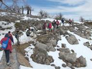 Descripcin: HPIM1442.JPG