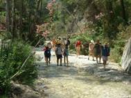 Descripcin: DSCN1616.JPG