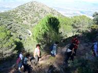 Descripcin: Pico_Mijas 011.JPG