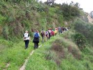 Descripcin: 100_2898.JPG