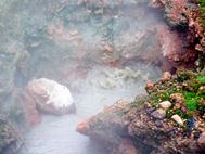 Descripcin: 100_1962.JPG