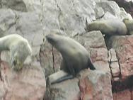 Descripcin: FotosPeru467