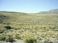 Descripcin: FotosPeru052