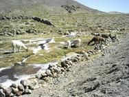 Descripcin: FotosPeru074