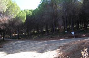Sierra_Mijas 004.JPG