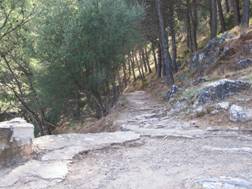 Sierra_Mijas 007.JPG