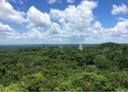 Imagen que contiene cielo, exterior, rbol, hierba

Descripcin generada automticamente