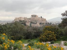 Imagen que contiene cielo, exterior, rbol, hierba

Descripcin generada automticamente